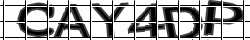 Retype the CAPTCHA code from the image