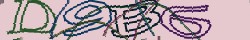 Retype the CAPTCHA code from the image