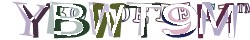 Retype the CAPTCHA code from the image