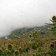 تصاویری از گیلان